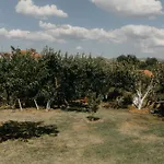 شقة Casa Natura Argyroupolis