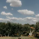 Casa Natura * Argyroupolis