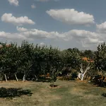 Casa Natura