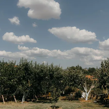 Casa Natura * Argyroupolis
